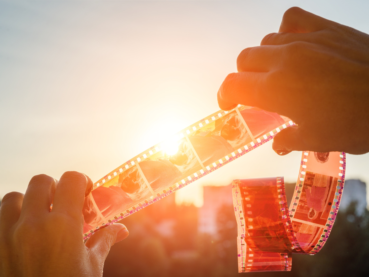 A photo of hands holding camera film while glistens in the sunlight. 