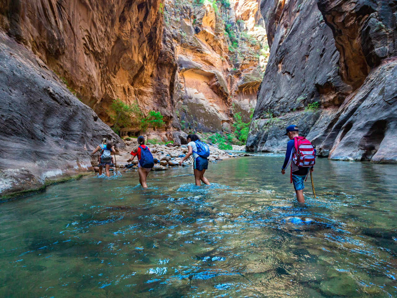 People hiking through Zion National Park