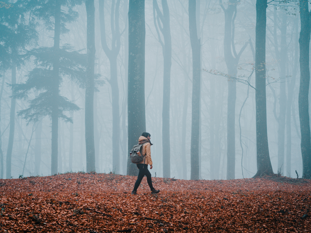 A woman hiking through a foggy forest. 