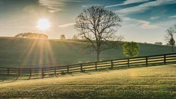Kentucky