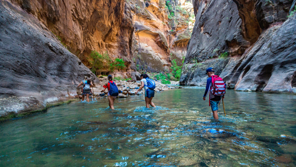 People hiking through Zion National Park