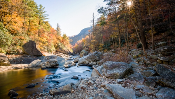 A scenic landscape photo of Asheville. 