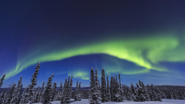 Aurora borealis lighting up the Fairbanks sky.