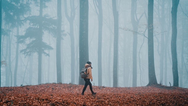 A woman hiking through a foggy forest. 