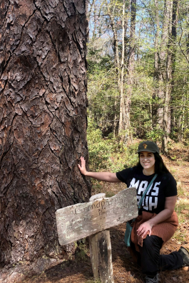 Caitlin Bussey poses with a very old pine tree at a nature preserve