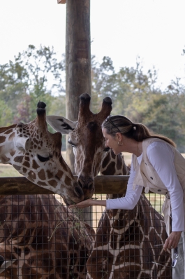 Susi Robichaux interacts with giraffes at Alabama Safari Park