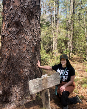 Caitlin Bussey poses with a very old pine tree at a nature preserve