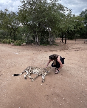 A photo of Micaela petting a Cheetah in South Africa. 